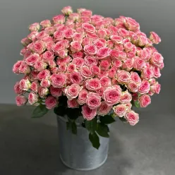 Кущова кенійська рожева троянда 50 см