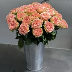 Еквадорська піоноподібна троянда Кантрі Герл 60 см