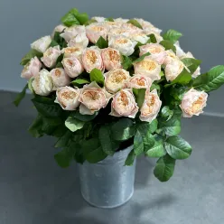 Еквадорська піоноподібна троянда Вувузелла 50 см