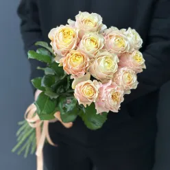 11 піоноподібних троянд Peter'S Park