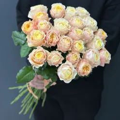 25 піоноподібних троянд Peter'S Park