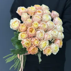 33 піоноподібні троянди Peter'S Park