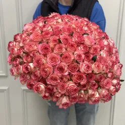 151 рожева троянда Jumilia