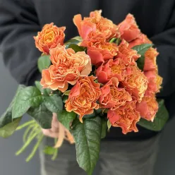 15 піоноподібних троянд Kensington Garden