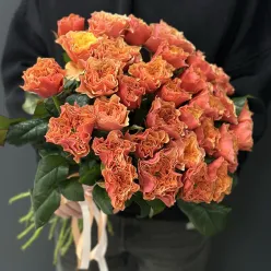 33 піоноподібних троянд Kensington Garden