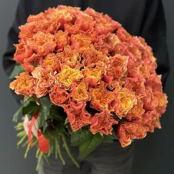 55 піоноподібних троянд Kensington Garden