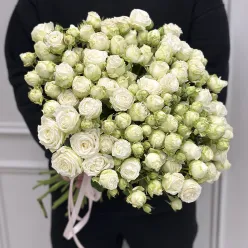 21 кущова піоноподібна троянда в асортименті