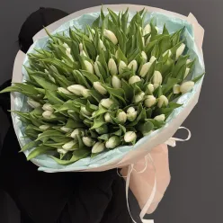 101 білий тюльпан