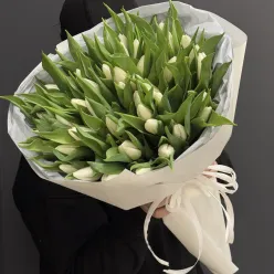 51 білий тюльпан