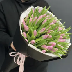 51 рожевий тюльпан