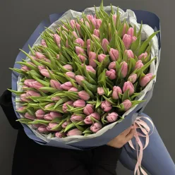 101 рожевий тюльпан