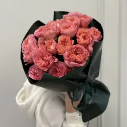 23 піоноподібні троянди Кенді Експрешн