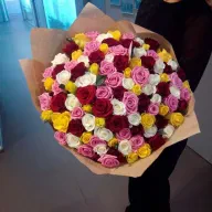 101 роза мікс 7