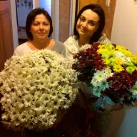 35 біла хризантема