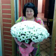 35 біла хризантема