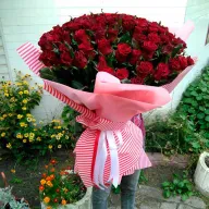 101 красная роза 70 см