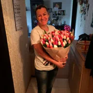 101 тюльпан мікс (3 кольори)