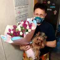 101 тюльпан мікс (3 кольори)